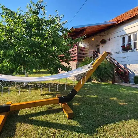 Zocevica * Rogaca (Lucani)