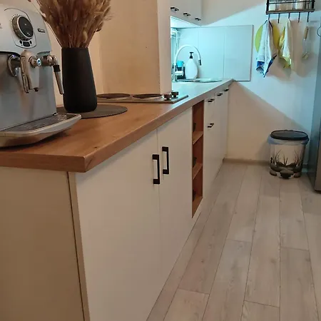 Zocevica Сasa de vacaciones Rogaca (Lucani)