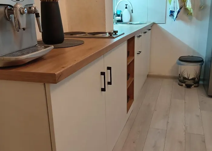 Zocevica Tatil Evi Rogaca (Lucani)